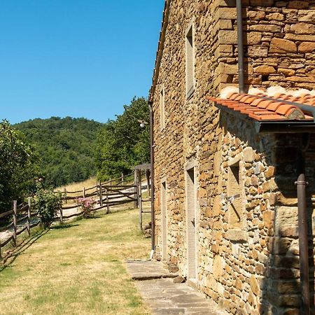 Agriturismo Con Piscina In Toscana, Tribbiano Arezzo Exteriör bild