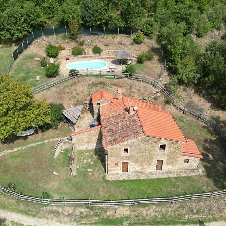 Agriturismo Con Piscina In Toscana, Tribbiano Arezzo Exteriör bild