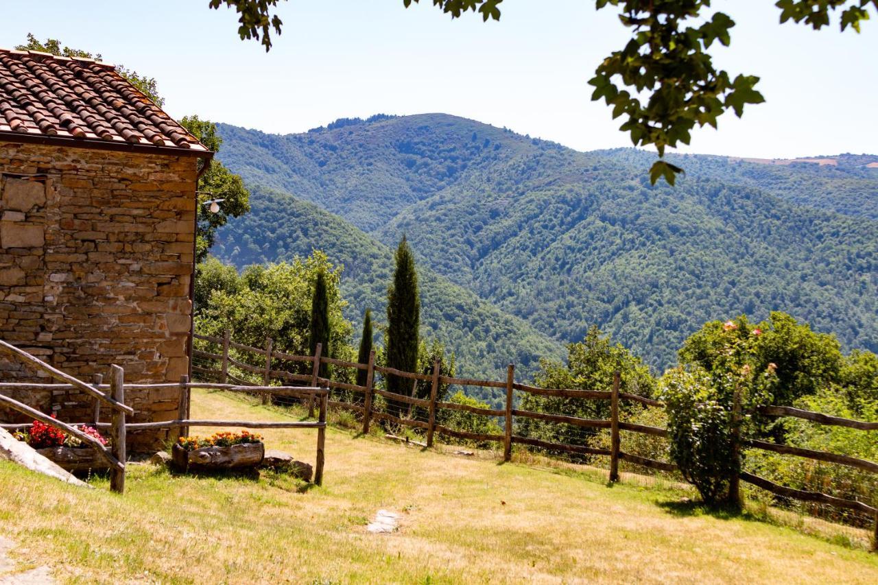 Agriturismo Con Piscina In Toscana, Tribbiano Arezzo Exteriör bild