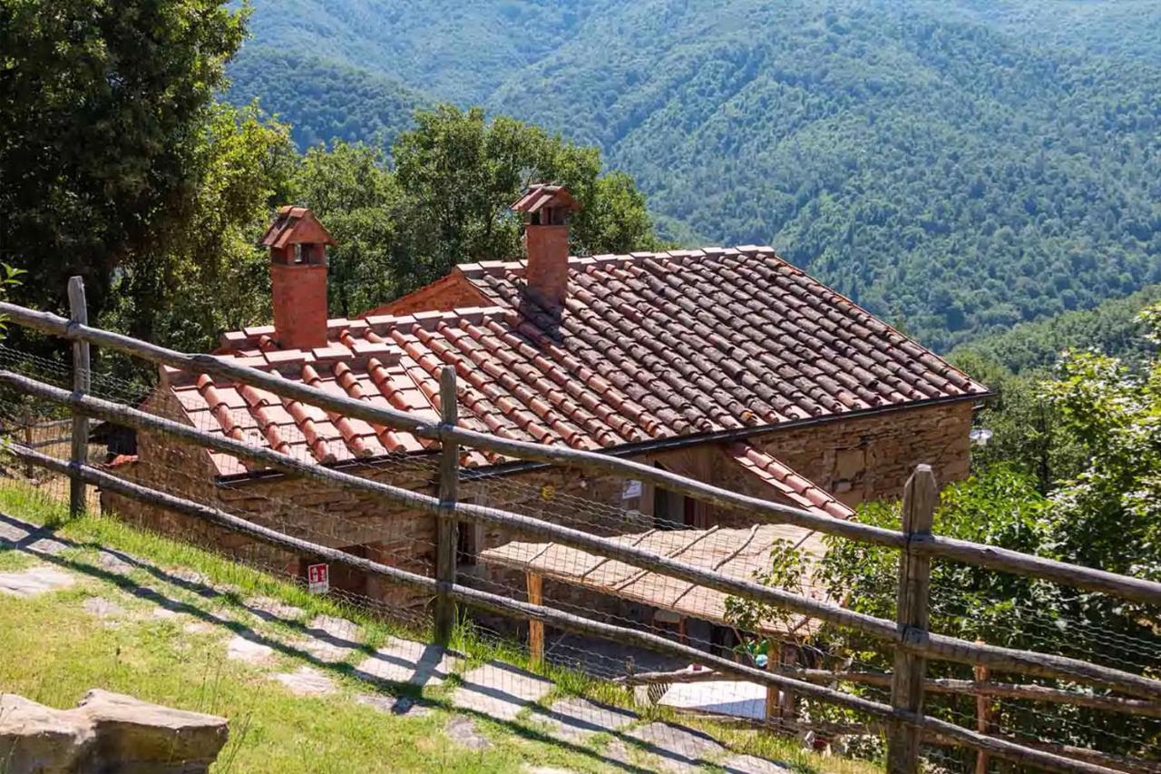 Agriturismo Con Piscina In Toscana, Tribbiano Arezzo Exteriör bild