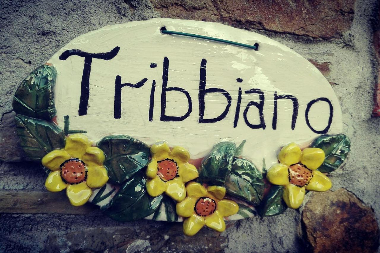 Agriturismo Con Piscina In Toscana, Tribbiano Arezzo Exteriör bild